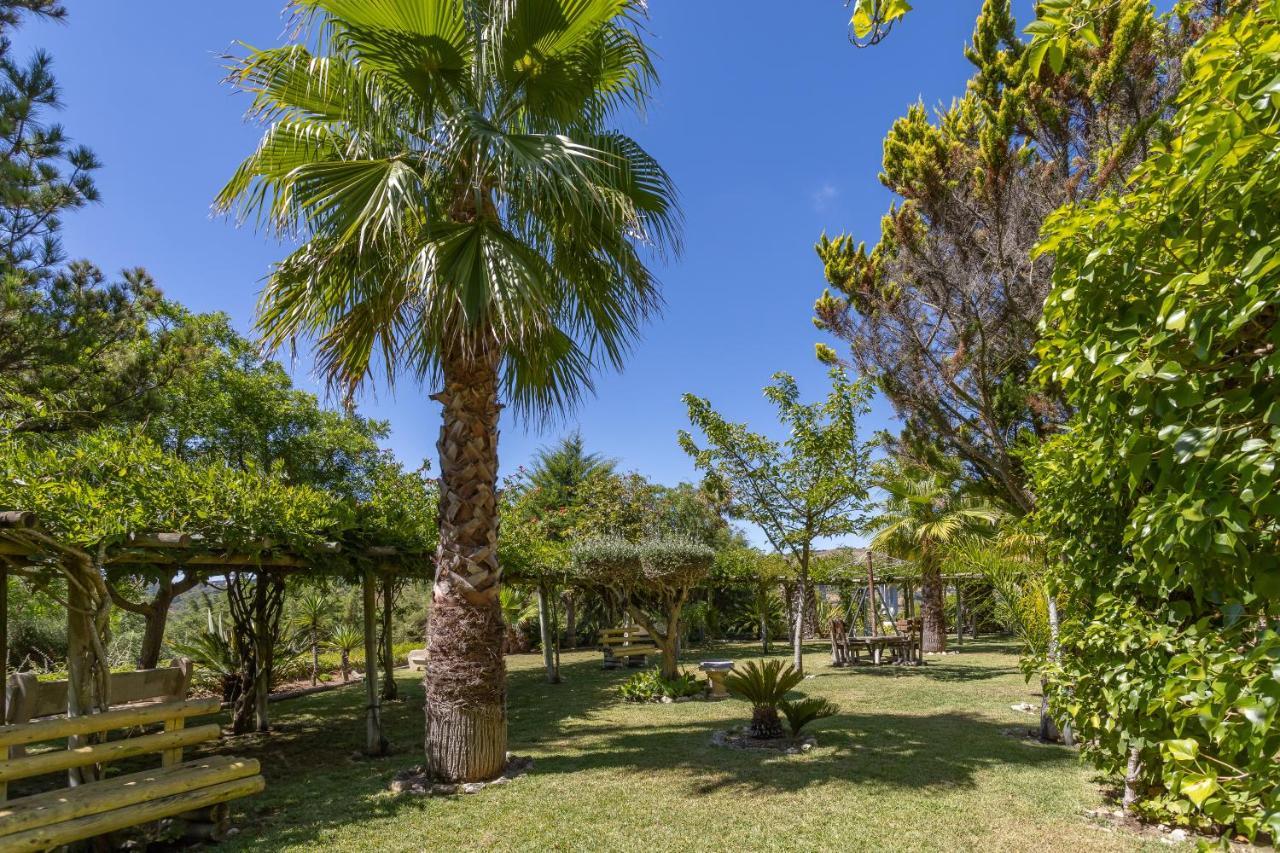 QUINTA DO MONTE DAS ABELHAS - La Vénus de Lisbonne Calhandriz Exterior foto