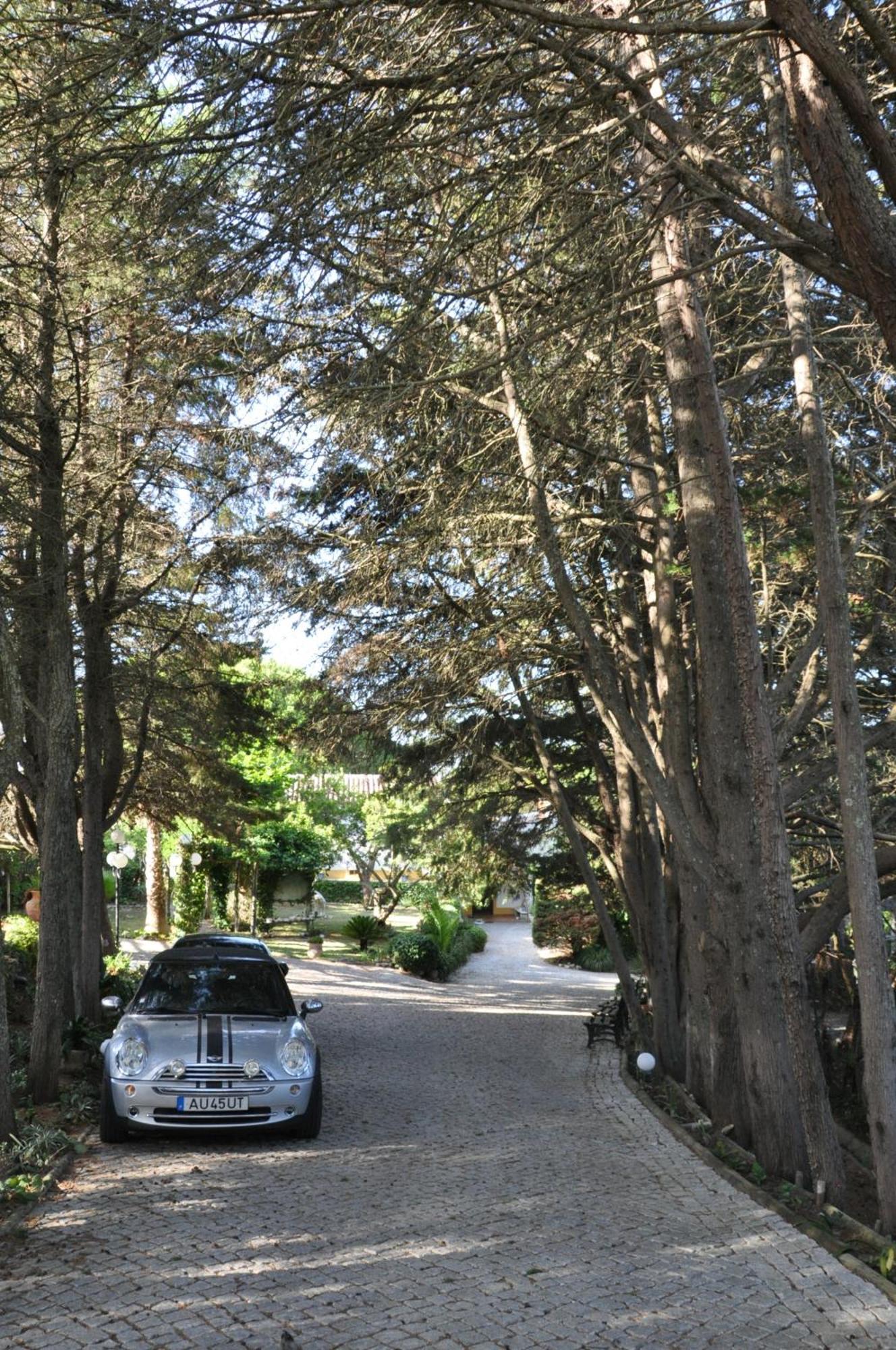 QUINTA DO MONTE DAS ABELHAS - La Vénus de Lisbonne Calhandriz Exterior foto